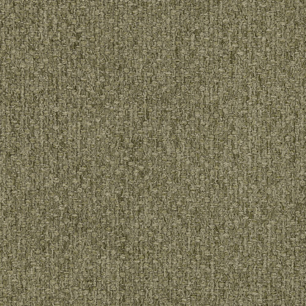 Birch 801
