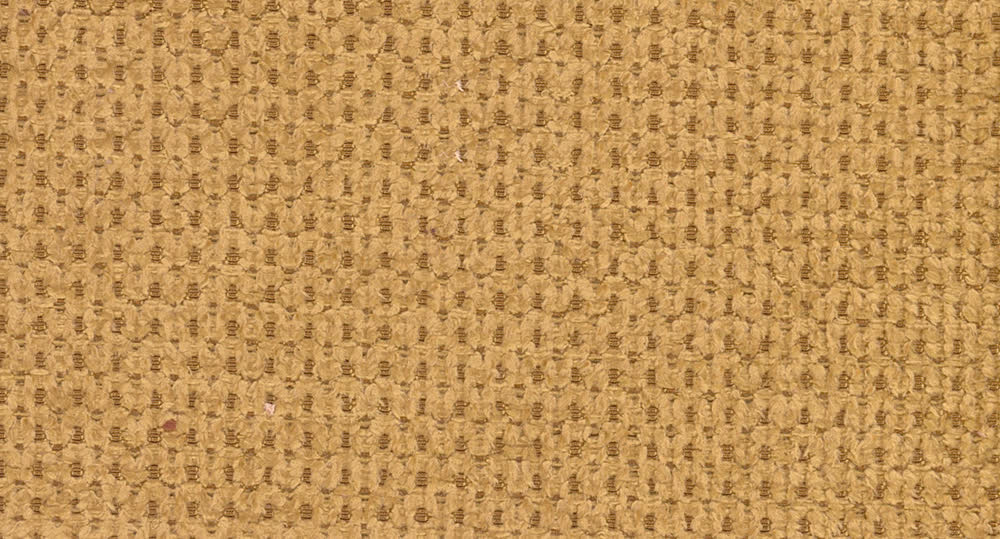 Mustard F008