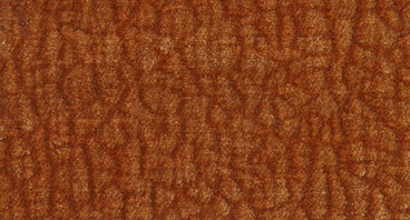 Cloud A061 terra