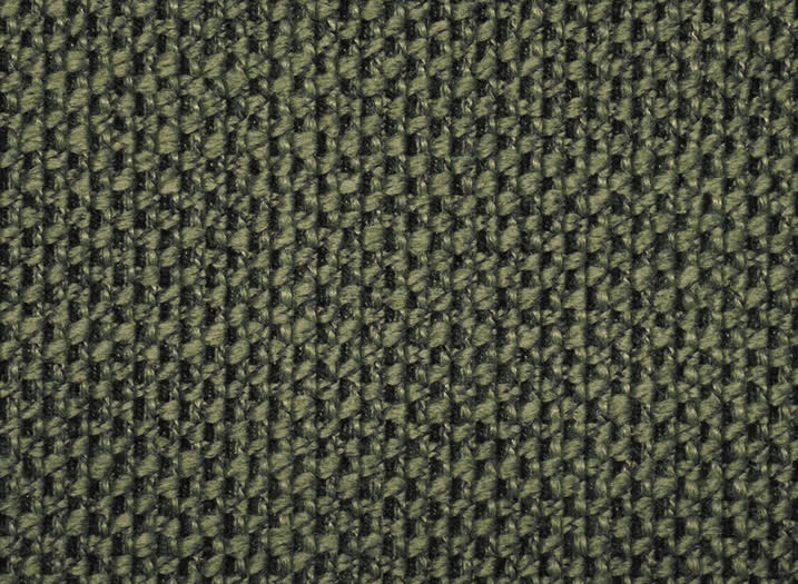 Moss