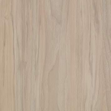 Noce Beige