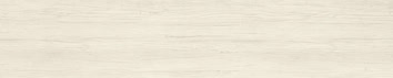 rovere gesso
