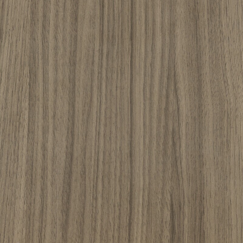 Rovere africano