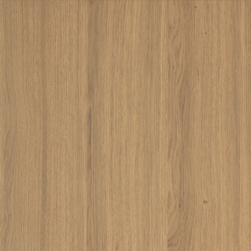 Rovere biondo