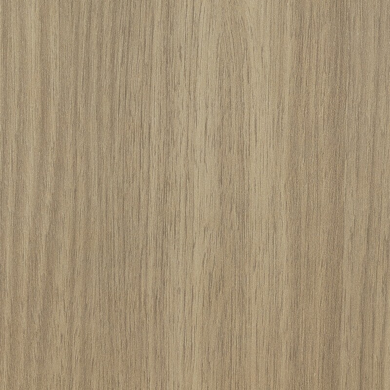 Rovere europeo