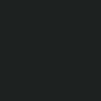 Laccato Opaco grigio antracite