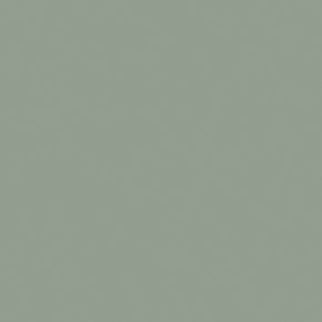 agave 