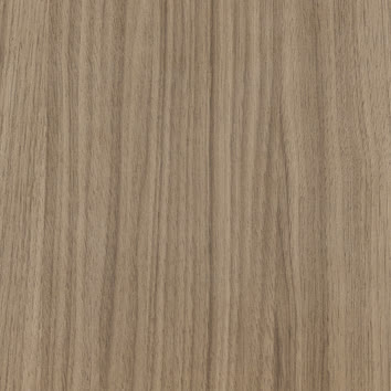 Rovere Africano