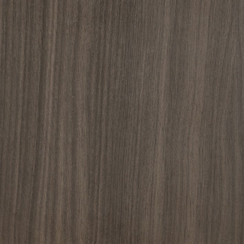 Rovere Asiatico