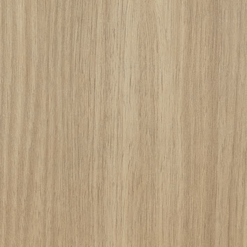 Rovere Europeo