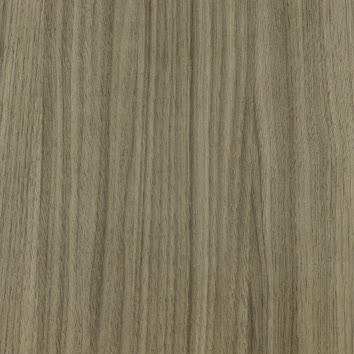 Rovere Africano