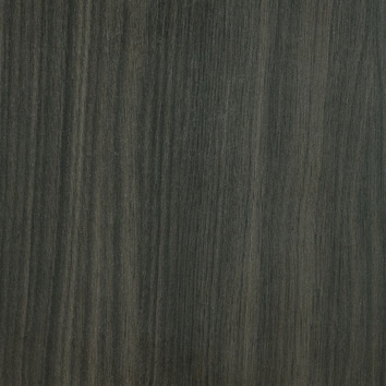 Rovere Asiatico