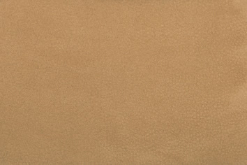 Cheyenne V002 Camel
