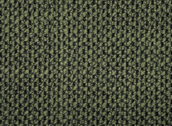 Colonna D008 Moss.JPG