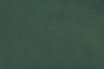 Eagle M2109acing Green