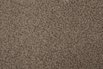 Pisa N004 Taupe.JPG