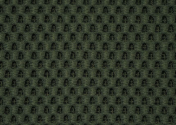 Tecno X156 Moss.JPG