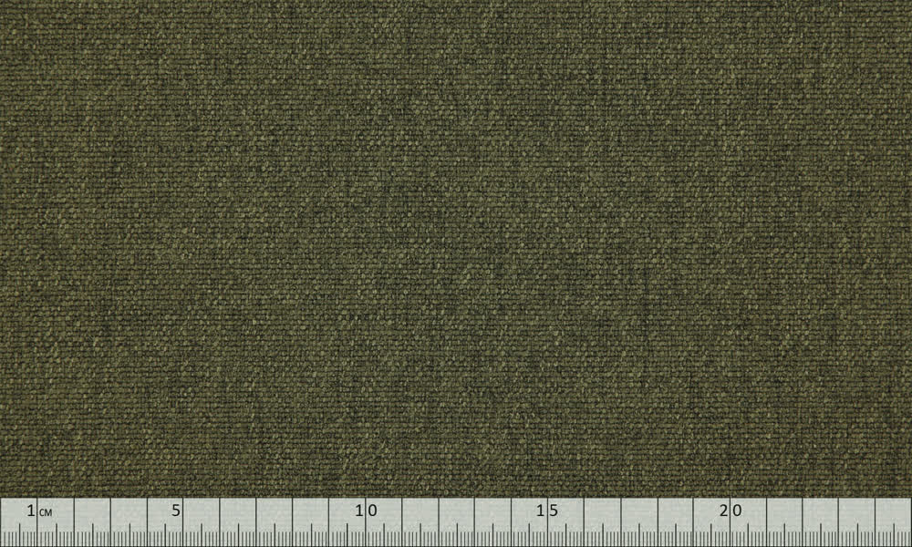 Birch 0814