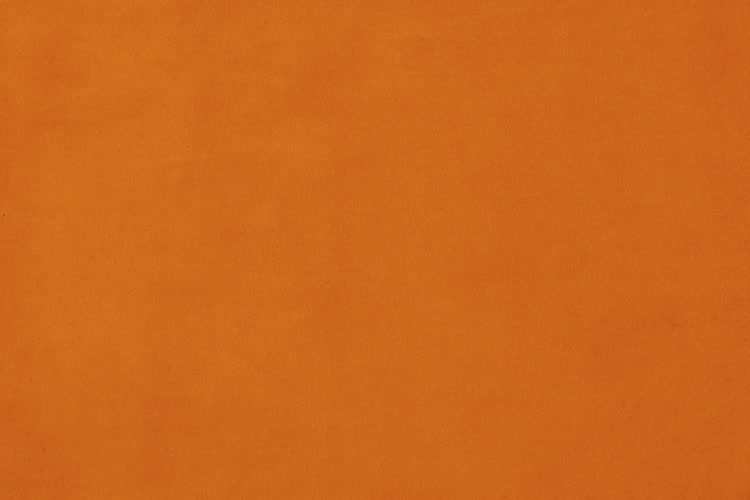 Melon