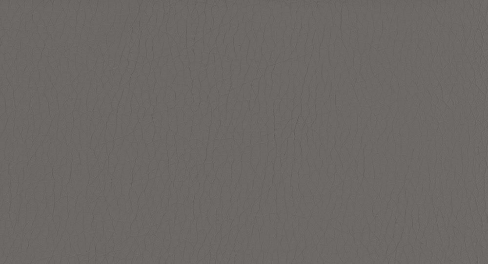 Pulse D210 Grey 2S
