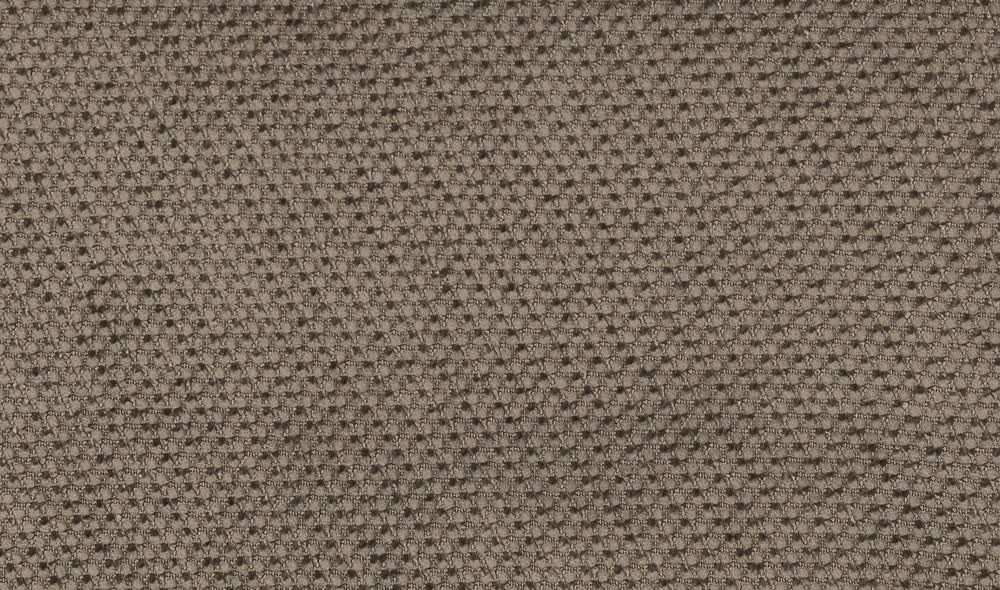 Visone 0059