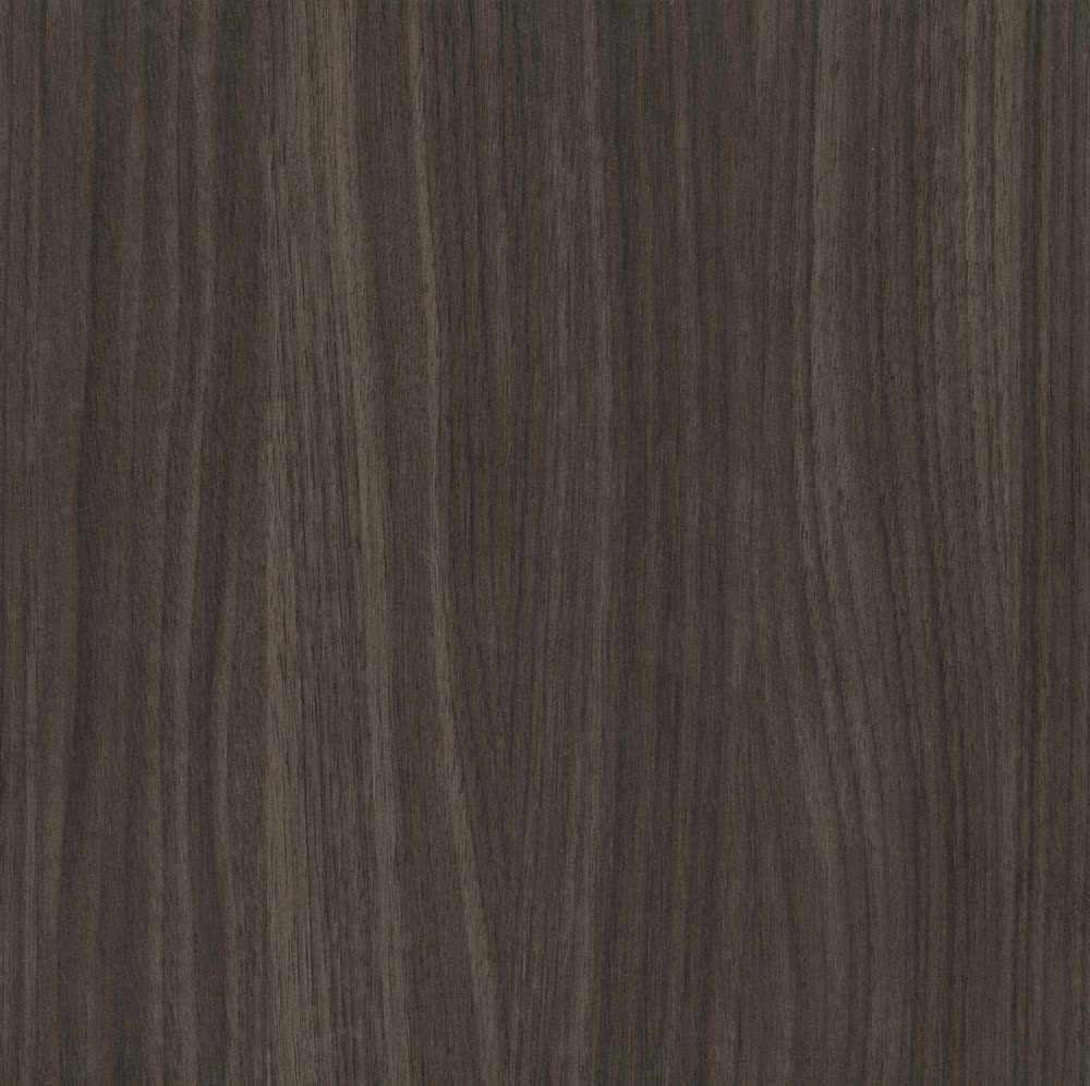Rovere Asiatico