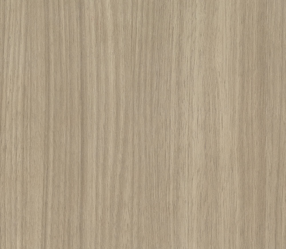 Rovere Europeo