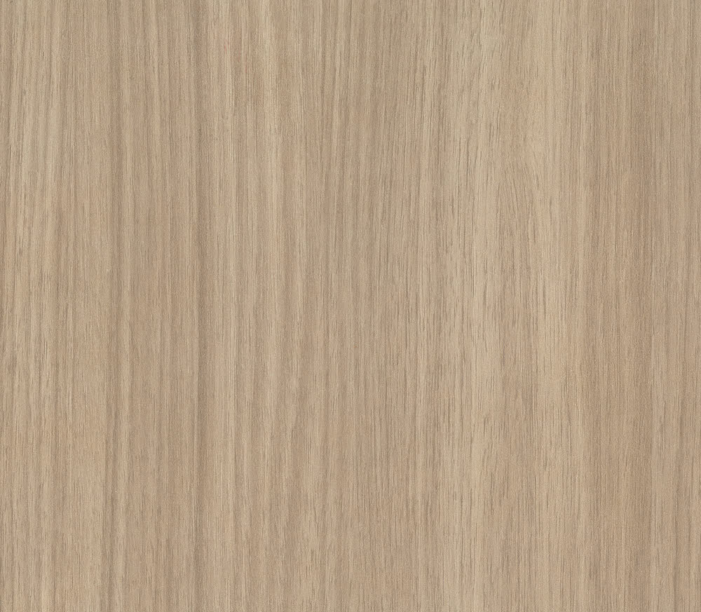 Rovere Europeo