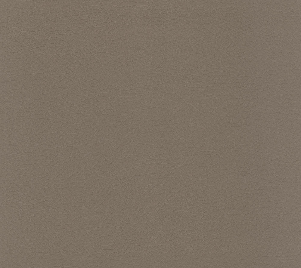 Tortora 0607